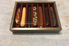 Custom built display for hybrid corn