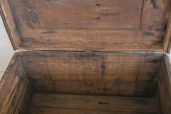 Wooden-NickelChestnut-Trunk