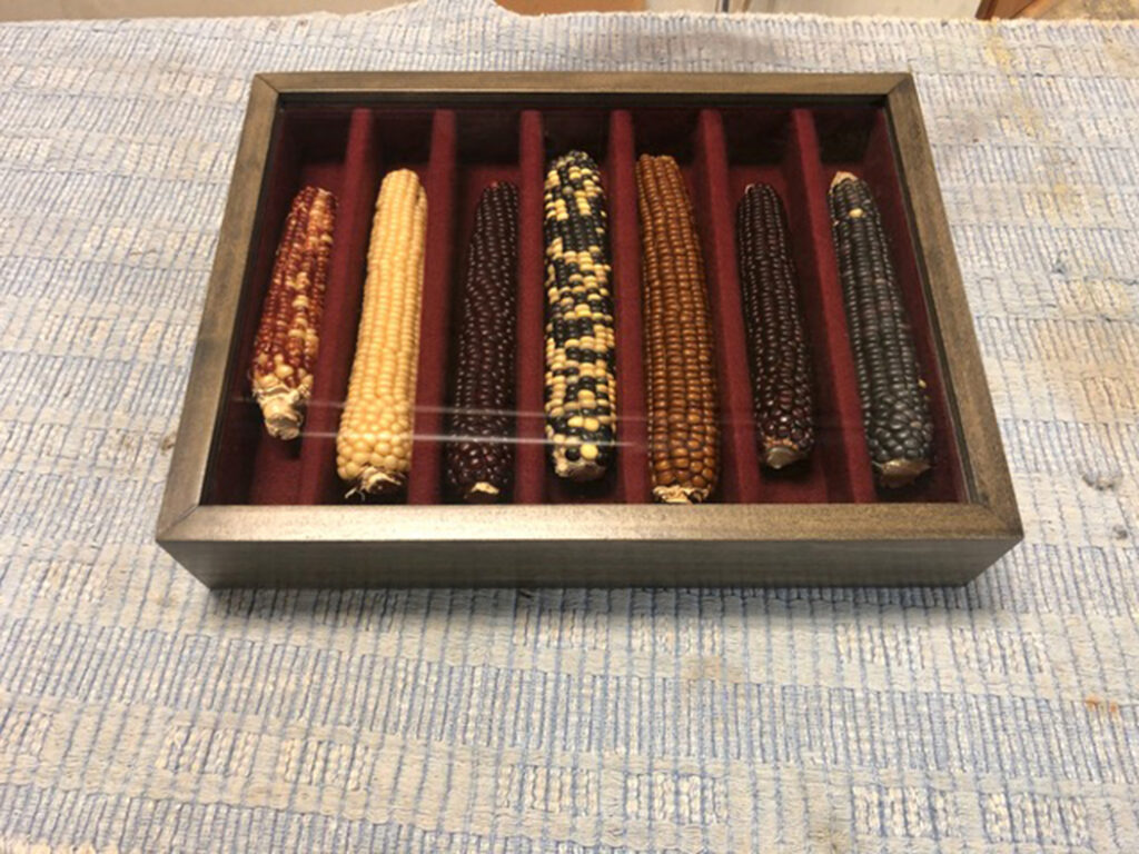 Custom Display box with hybrid corn